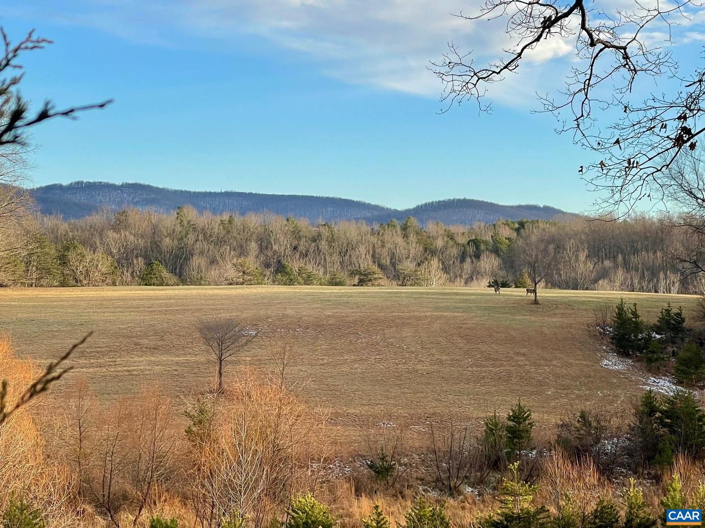 16547 VALLEY HIGH FARM LN, BARBOURSVILLE, Virginia 22923, 2 Bedrooms Bedrooms, ,1 BathroomBathrooms,Residential,For sale,16547 VALLEY HIGH FARM LN,671666 MLS # 671666 16547 VALLEY HIGH FARM LN, BARBOURSVILLE, Virginia 22923, 2 Bedrooms Bedrooms, ,1 BathroomBathrooms,Residential,For sale,16547 VALLEY HIGH FARM LN,671666 MLS # 671666