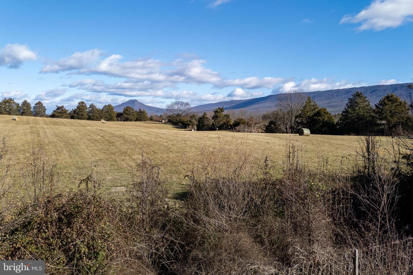 134 DILLON CT, NEW MARKET, Virginia 22844, 3 Bedrooms Bedrooms, ,2 BathroomsBathrooms,Residential,For sale,134 DILLON CT,VASH2013192 MLS # VASH2013192 134 DILLON CT, NEW MARKET, Virginia 22844, 3 Bedrooms Bedrooms, ,2 BathroomsBathrooms,Residential,For sale,134 DILLON CT,VASH2013192 MLS # VASH2013192