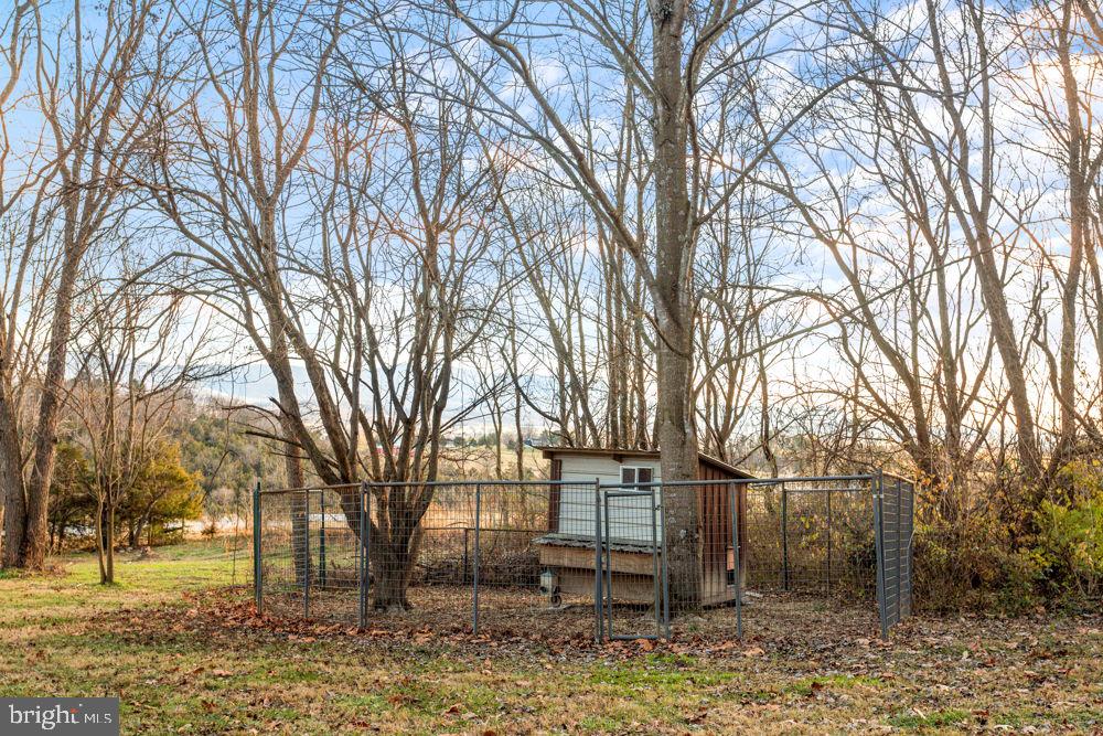 11481 ZIRKLE LN, BROADWAY, Virginia 22815, 4 Bedrooms Bedrooms, ,2 BathroomsBathrooms,Residential,For sale,11481 ZIRKLE LN,VARO2002766 MLS # VARO2002766 11481 ZIRKLE LN, BROADWAY, Virginia 22815, 4 Bedrooms Bedrooms, ,2 BathroomsBathrooms,Residential,For sale,11481 ZIRKLE LN,VARO2002766 MLS # VARO2002766