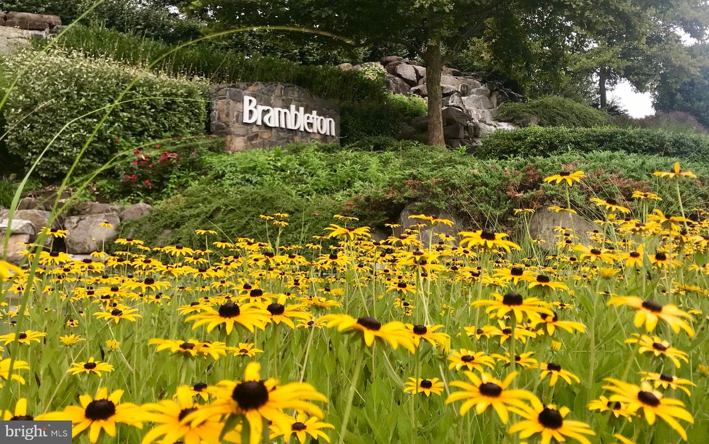 22786 HANSON OVERLOOK TER, ASHBURN, Virginia 20148, 3 Bedrooms Bedrooms, ,3 BathroomsBathrooms,Residential,For sale,22786 HANSON OVERLOOK TER,VALO2112386 MLS # VALO2112386 22786 HANSON OVERLOOK TER, ASHBURN, Virginia 20148, 3 Bedrooms Bedrooms, ,3 BathroomsBathrooms,Residential,For sale,22786 HANSON OVERLOOK TER,VALO2112386 MLS # VALO2112386