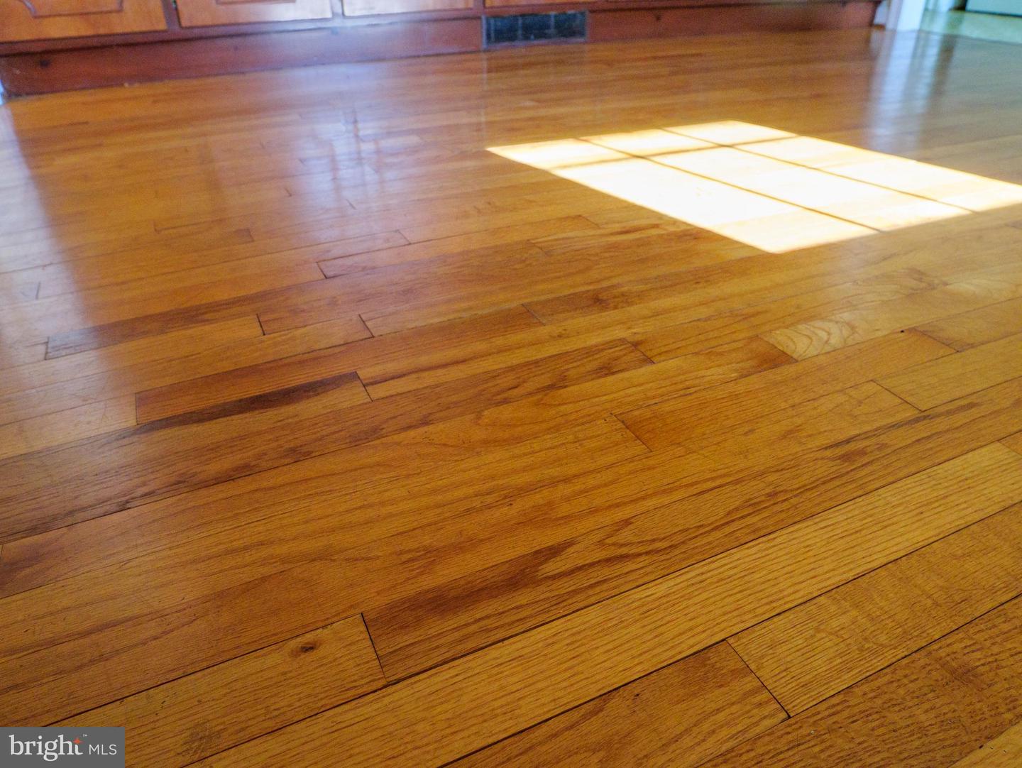 17152 BRIDGE VIEW CT, PAEONIAN SPRINGS, Virginia 20129, 4 Bedrooms Bedrooms, ,2 BathroomsBathrooms,Residential,For sale,17152 BRIDGE VIEW CT,VALO2104206 MLS # VALO2104206