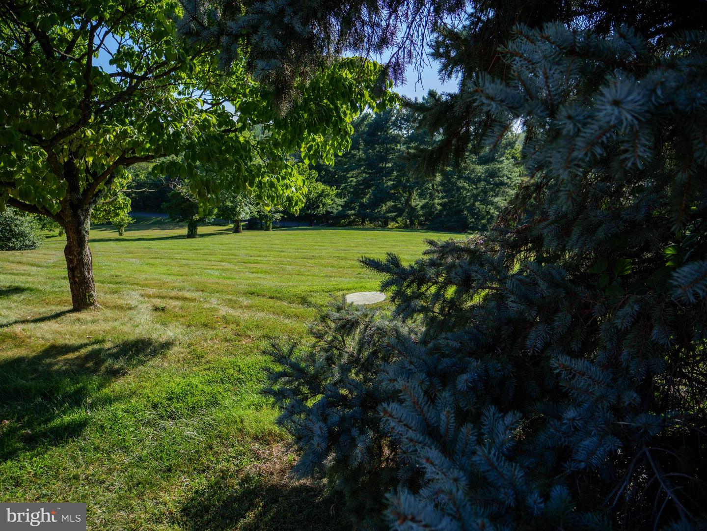 17152 BRIDGE VIEW CT, PAEONIAN SPRINGS, Virginia 20129, 4 Bedrooms Bedrooms, ,2 BathroomsBathrooms,Residential,For sale,17152 BRIDGE VIEW CT,VALO2104206 MLS # VALO2104206