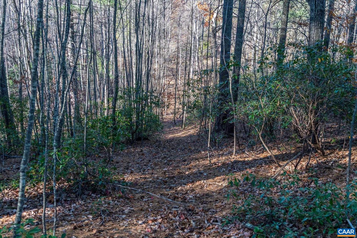 6424 FREE UNION RD, FREE UNION, Virginia 22940, ,Land,For sale,6424 FREE UNION RD,671320 MLS # 671320