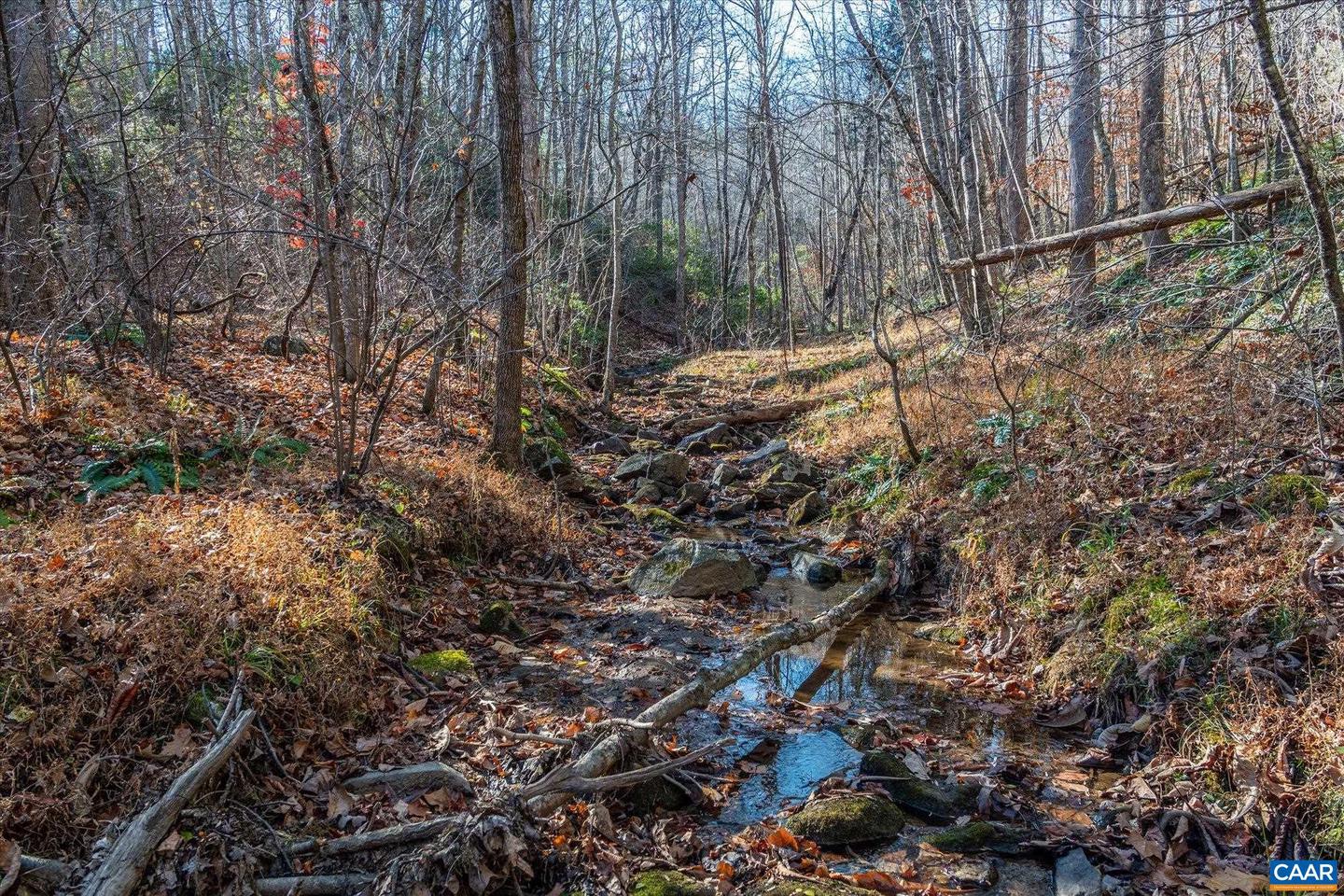 6424 FREE UNION RD, FREE UNION, Virginia 22940, ,Land,For sale,6424 FREE UNION RD,671320 MLS # 671320