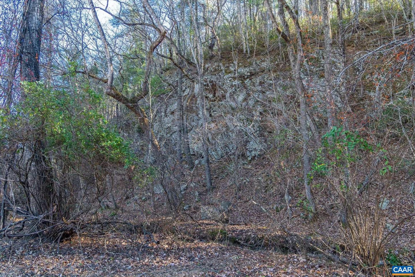 6424 FREE UNION RD, FREE UNION, Virginia 22940, ,Land,For sale,6424 FREE UNION RD,671320 MLS # 671320