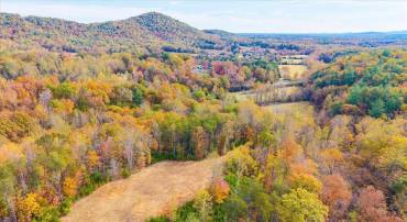 6424 FREE UNION RD, FREE UNION, Virginia 22940, ,Land,For sale,6424 FREE UNION RD,671320 MLS # 671320