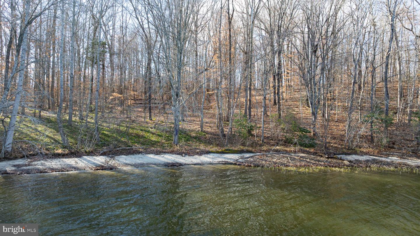 16105 HARRIS CT, ORANGE, Virginia 22960, ,Land,For sale,16105 HARRIS CT,VASP2038132 MLS # VASP2038132 16105 HARRIS CT, ORANGE, Virginia 22960, ,Land,For sale,16105 HARRIS CT,VASP2038132 MLS # VASP2038132