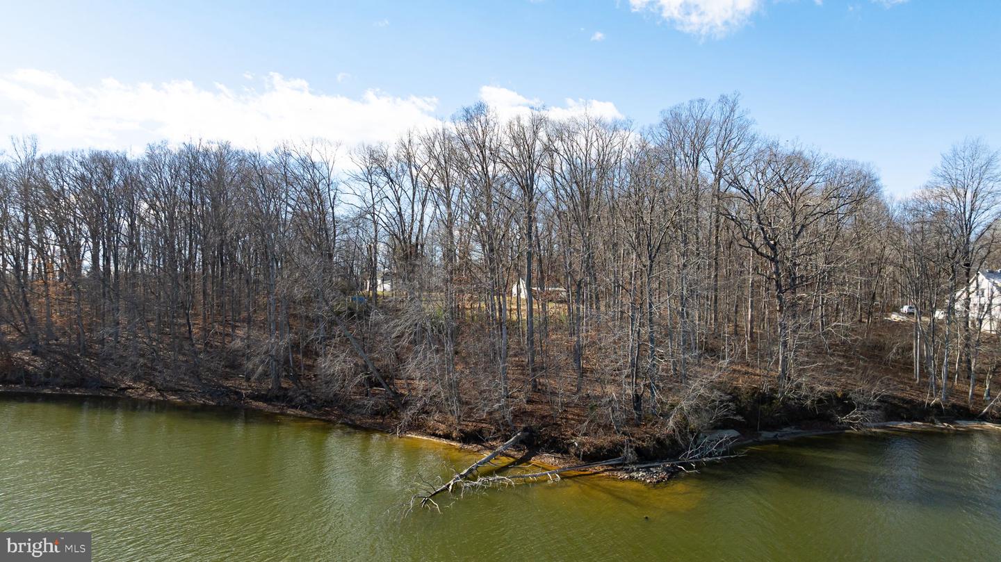 16110 HARRIS CT, ORANGE, Virginia 22960, ,Land,For sale,16110 HARRIS CT,VASP2038136 MLS # VASP2038136 16110 HARRIS CT, ORANGE, Virginia 22960, ,Land,For sale,16110 HARRIS CT,VASP2038136 MLS # VASP2038136