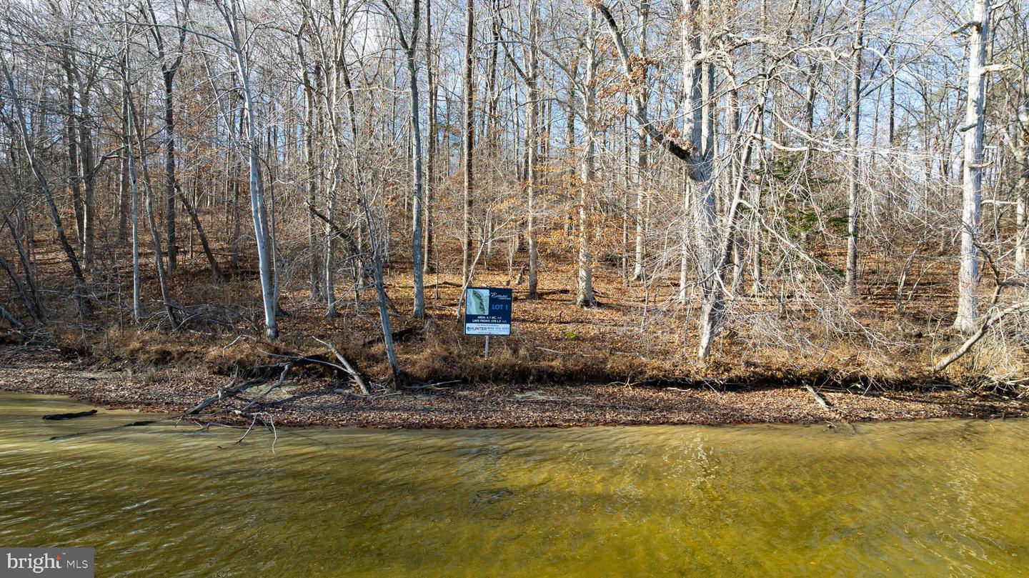 16125 HARRIS CT, ORANGE, Virginia 22960, ,Land,For sale,16125 HARRIS CT,VASP2038140 MLS # VASP2038140