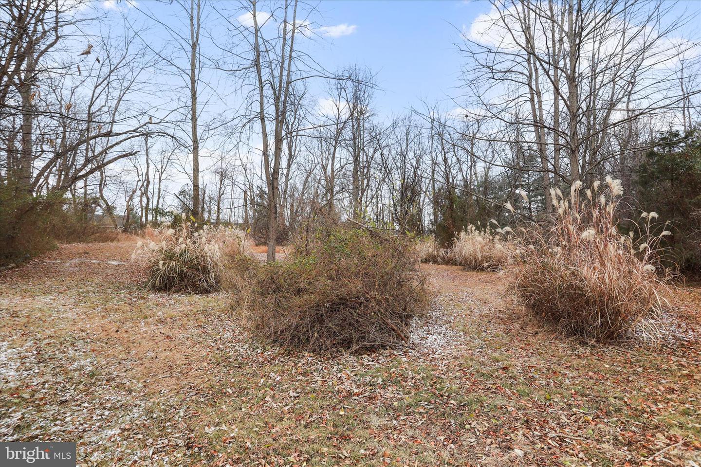 717 W LOCUST ST, WOODSTOCK, Virginia 22664, 5 Bedrooms Bedrooms, ,3 BathroomsBathrooms,Residential,For sale,717 W LOCUST ST,VASH2013080 MLS # VASH2013080