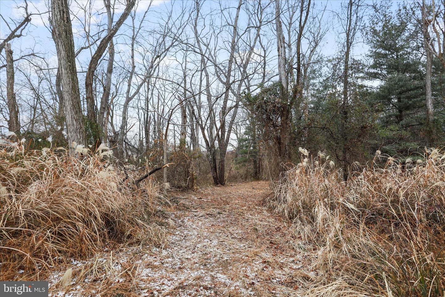 717 W LOCUST ST, WOODSTOCK, Virginia 22664, 5 Bedrooms Bedrooms, ,3 BathroomsBathrooms,Residential,For sale,717 W LOCUST ST,VASH2013080 MLS # VASH2013080