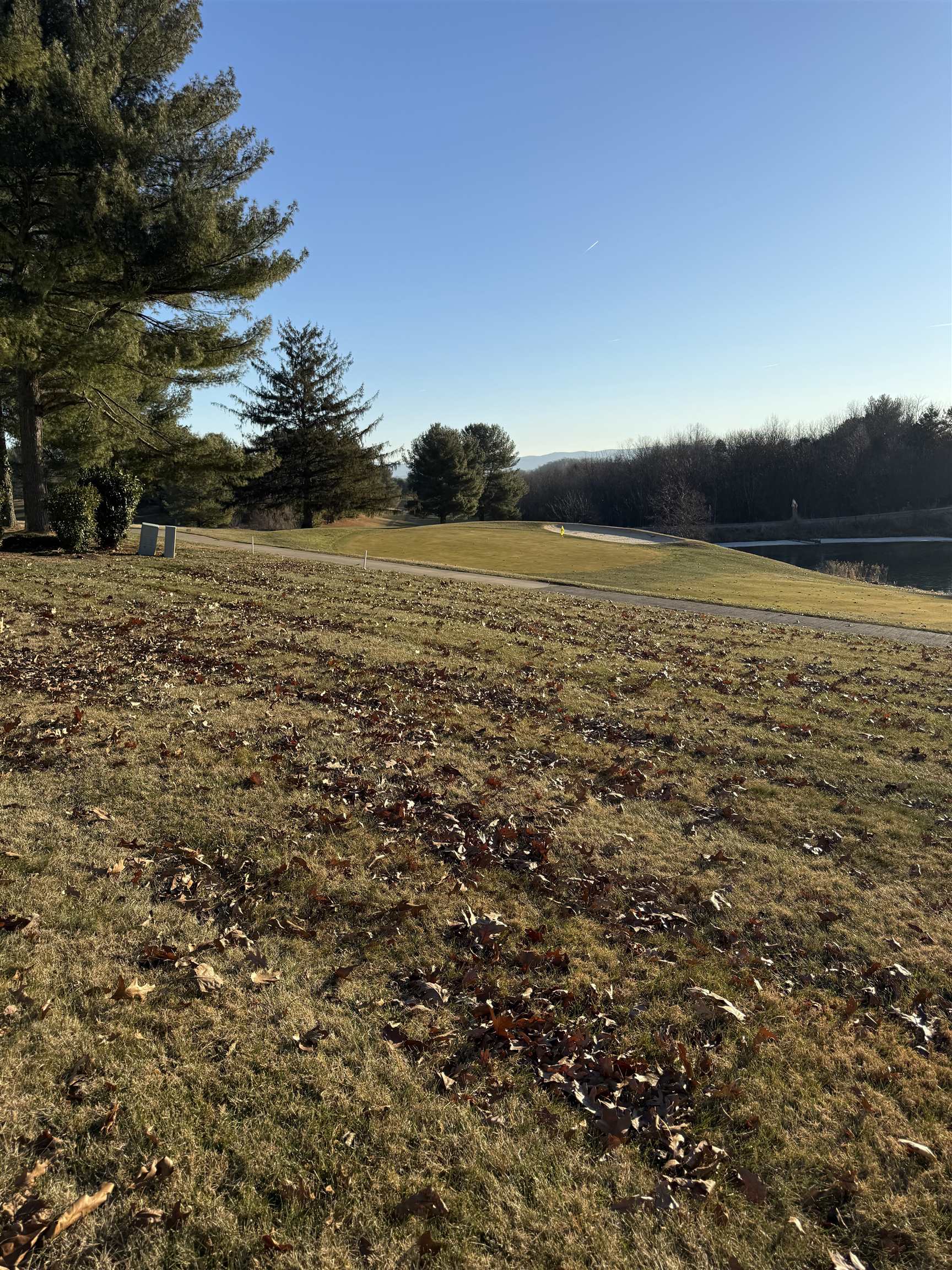 LOFTING IRON, VERONA, Virginia 24482, ,Land,LOFTING IRON,671885 MLS # 671885