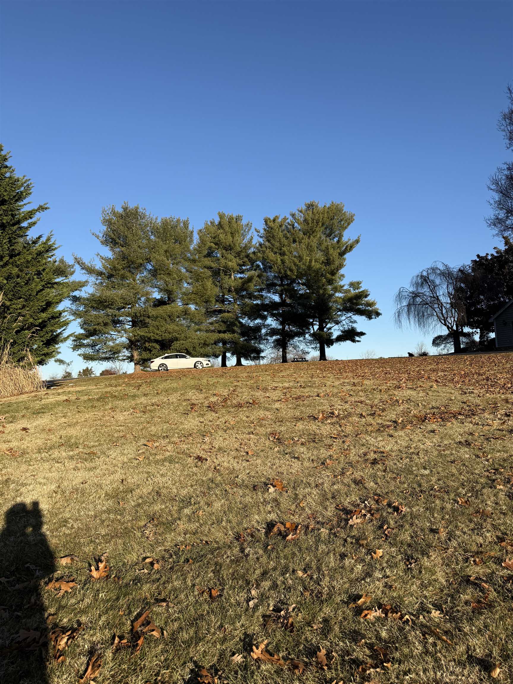 LOFTING IRON, VERONA, Virginia 24482, ,Land,LOFTING IRON,671885 MLS # 671885