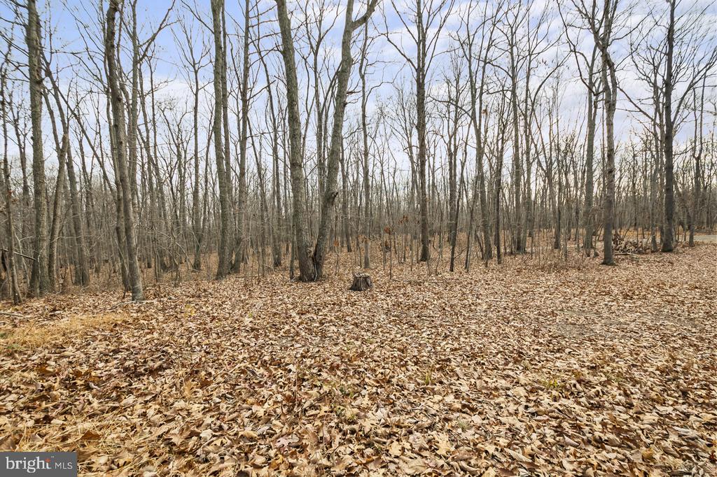 7389 LEEDS MANOR RD, MARSHALL, Virginia, 3 Bedrooms Bedrooms, ,2 BathroomsBathrooms,Residential,7389 LEEDS MANOR RD,VAFQ2019920 MLS # VAFQ2019920