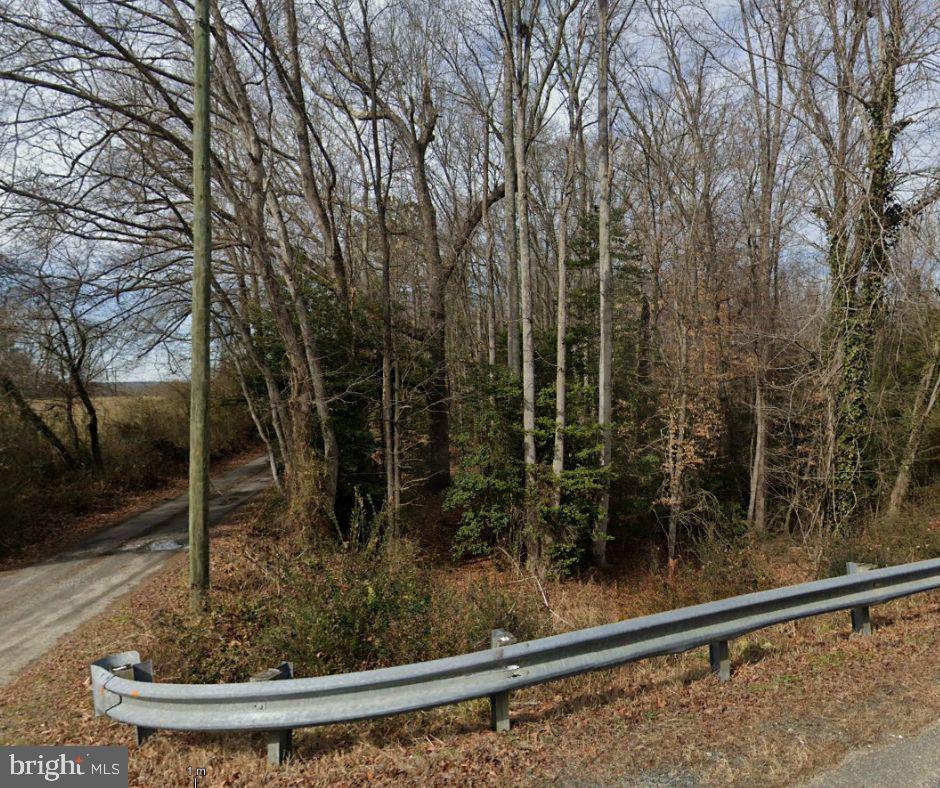 0 BROOKS RD, BOWLING GREEN, Virginia 22427, ,Land,For sale,0 BROOKS RD,VACV2008528 MLS # VACV2008528