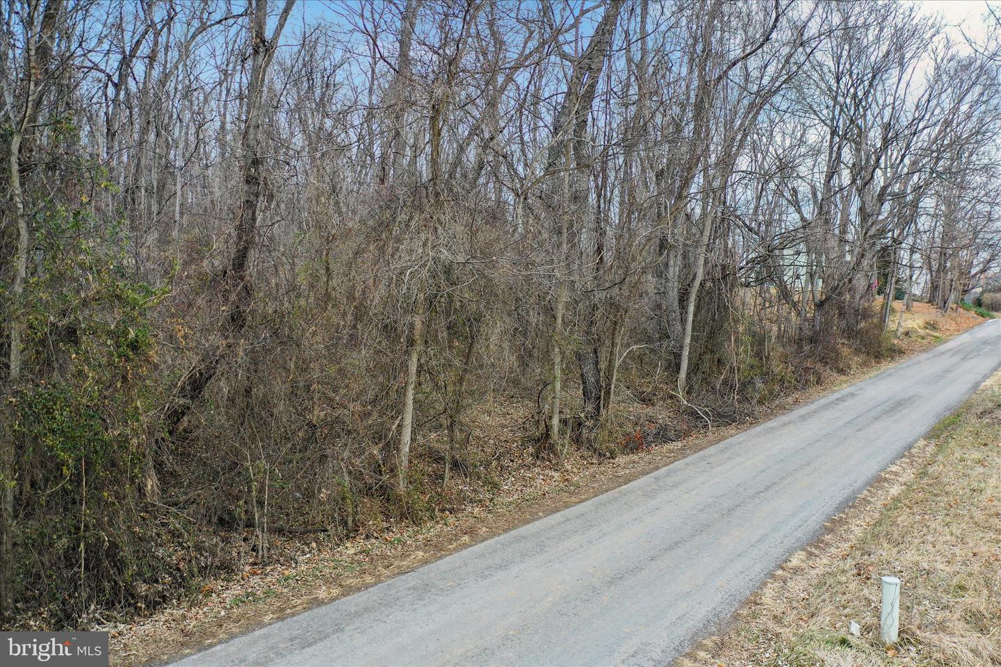 FLAT ROCK, QUICKSBURG, Virginia 22847, ,Land,For sale,FLAT ROCK,VASH2013202 MLS # VASH2013202
