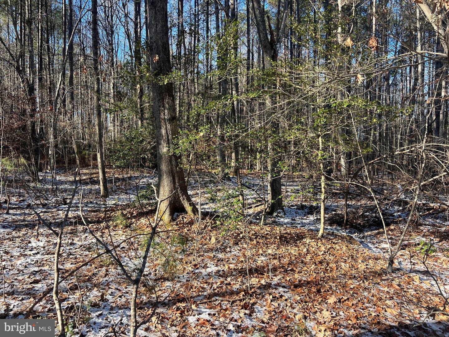 RODERICK PL, MINERAL, Virginia 23117, ,Land,For sale,RODERICK PL,VALA2009036 MLS # VALA2009036