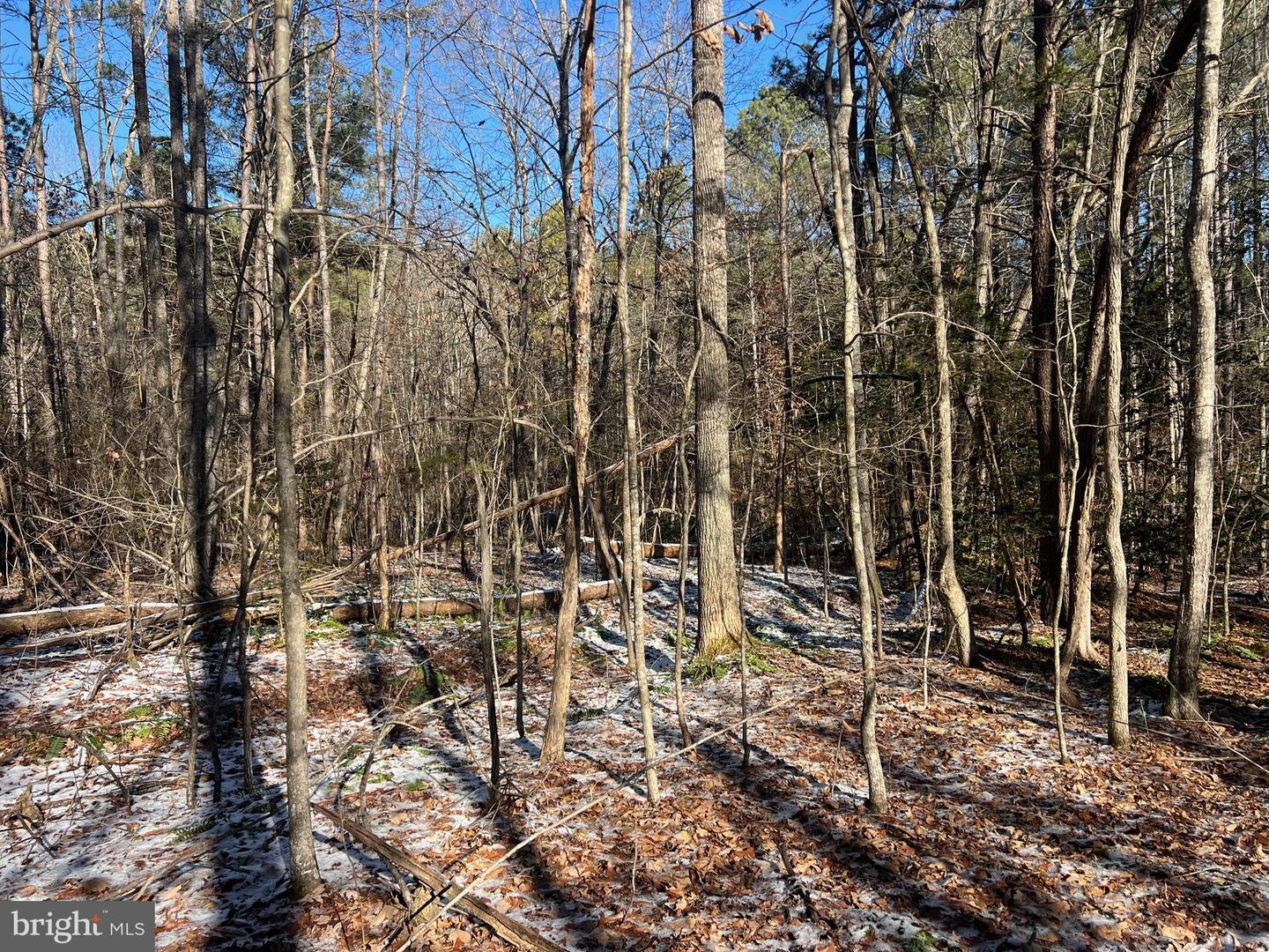 RODERICK PL, MINERAL, Virginia 23117, ,Land,For sale,RODERICK PL,VALA2009036 MLS # VALA2009036