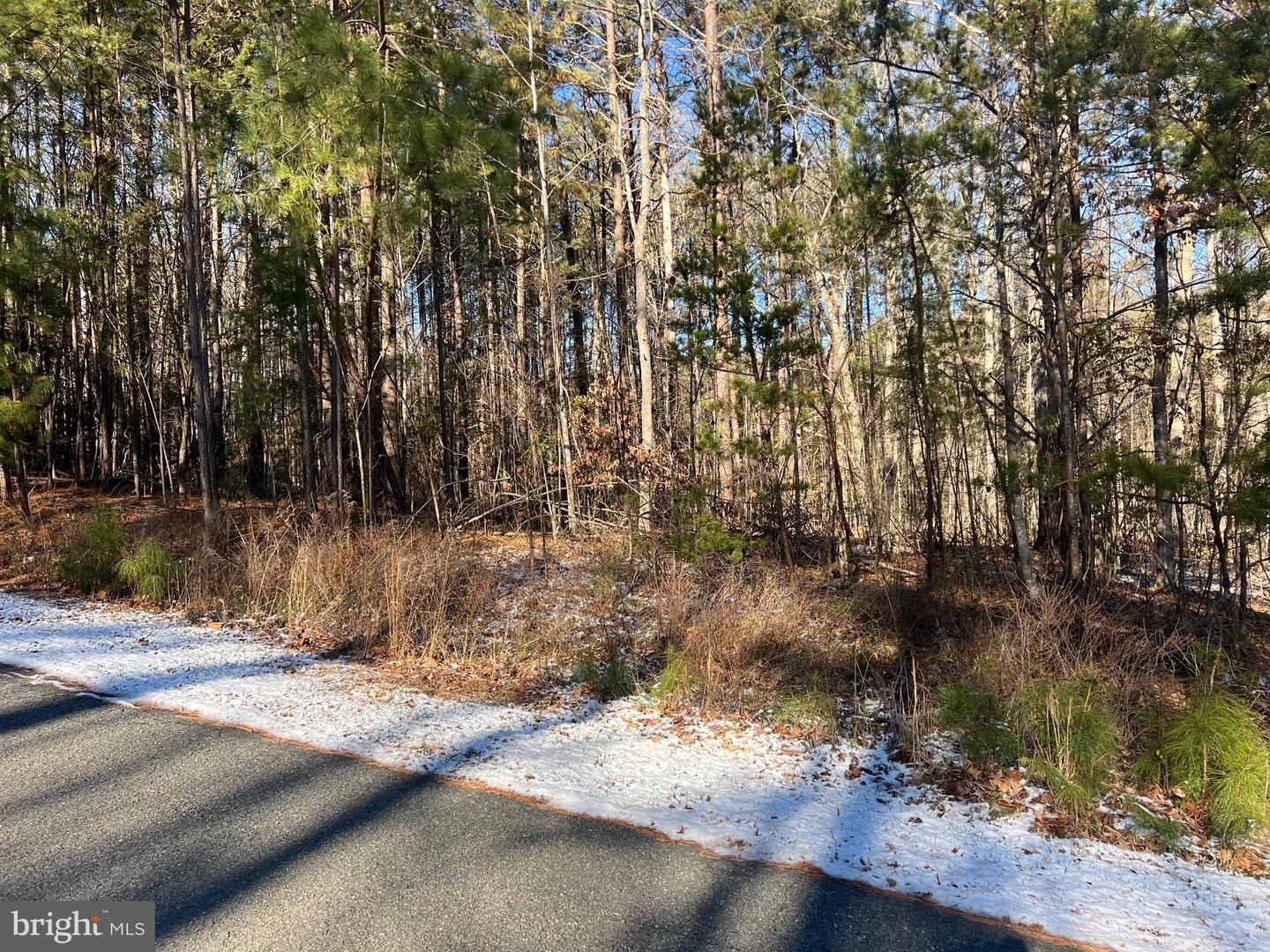 RODERICK PL, MINERAL, Virginia 23117, ,Land,For sale,RODERICK PL,VALA2009036 MLS # VALA2009036