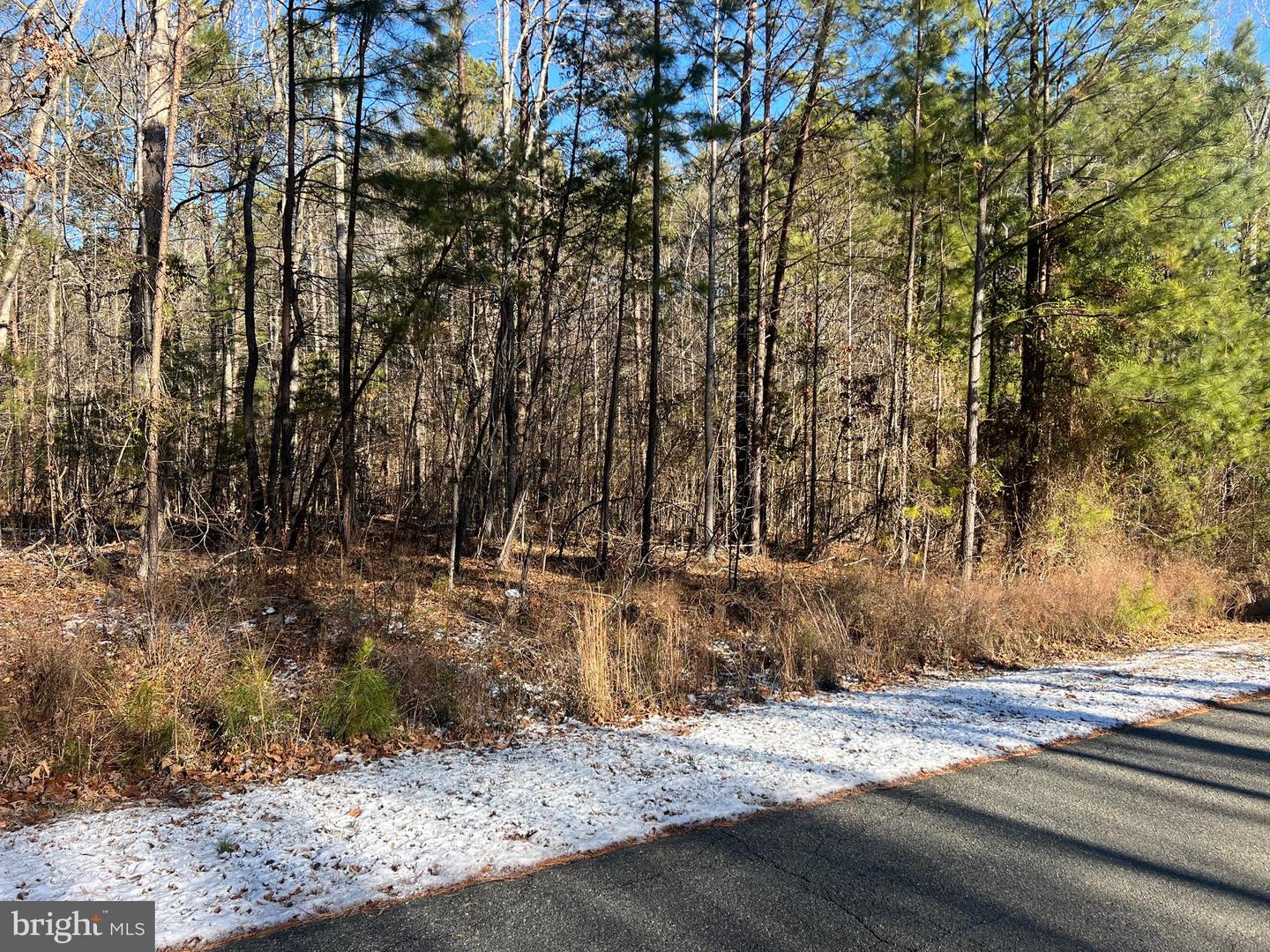 RODERICK PL, MINERAL, Virginia 23117, ,Land,For sale,RODERICK PL,VALA2009036 MLS # VALA2009036