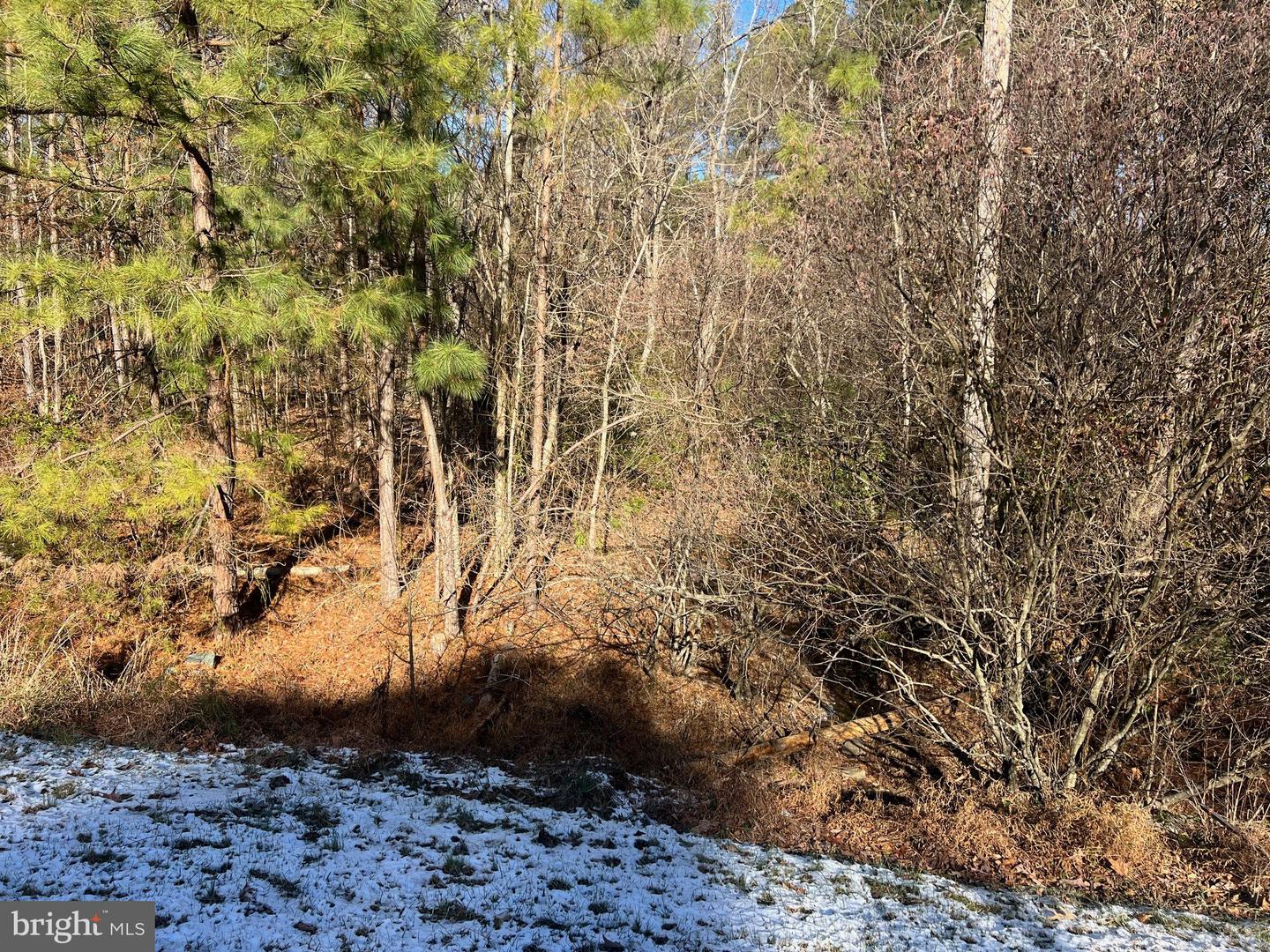 RODERICK PL, MINERAL, Virginia 23117, ,Land,For sale,RODERICK PL,VALA2009036 MLS # VALA2009036