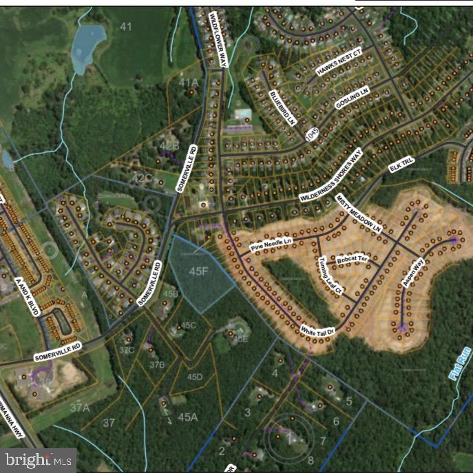 MEETING HOUSE RD, LOCUST GROVE, Virginia 22508, ,Land,For sale,MEETING HOUSE RD,VAOR2012974 MLS # VAOR2012974