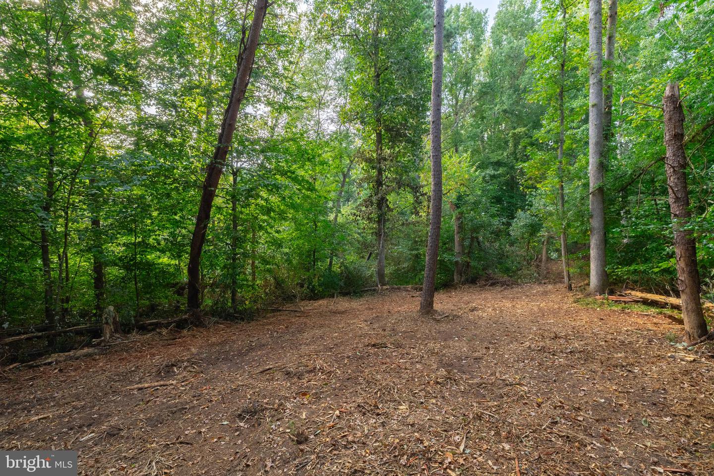 16310 PLEASANT MILL ROAD, MONTPELIER, Virginia 23192, ,Land,For sale,16310 PLEASANT MILL ROAD,VAHA2001112 MLS # VAHA2001112