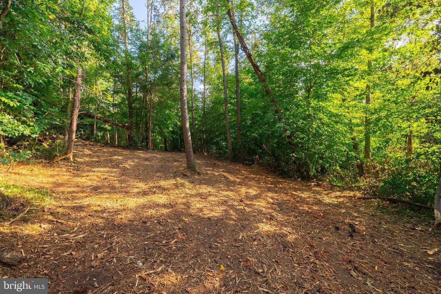 16310 PLEASANT MILL ROAD, MONTPELIER, Virginia 23192, ,Land,For sale,16310 PLEASANT MILL ROAD,VAHA2001112 MLS # VAHA2001112