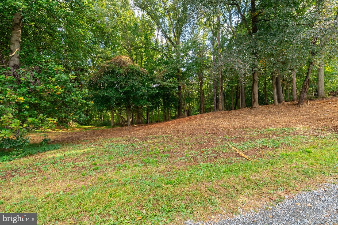 16306 PLEASANT MILL ROAD, MONTPELIER, Virginia 23192, ,Land,For sale,16306 PLEASANT MILL ROAD,VAHA2001114 MLS # VAHA2001114