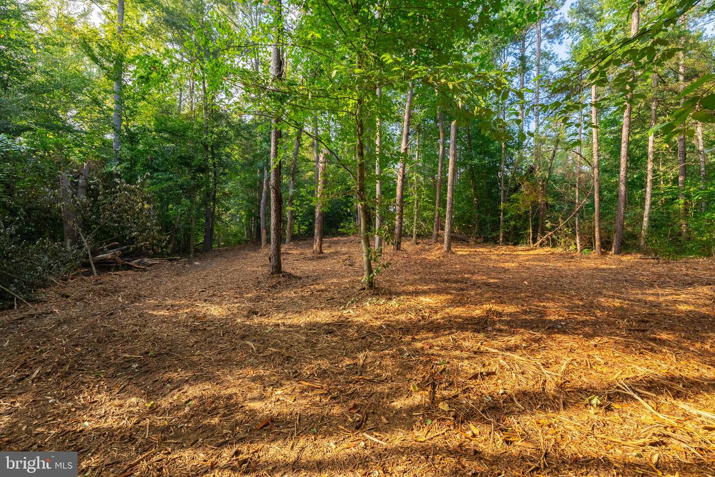 16306 PLEASANT MILL ROAD, MONTPELIER, Virginia 23192, ,Land,For sale,16306 PLEASANT MILL ROAD,VAHA2001114 MLS # VAHA2001114