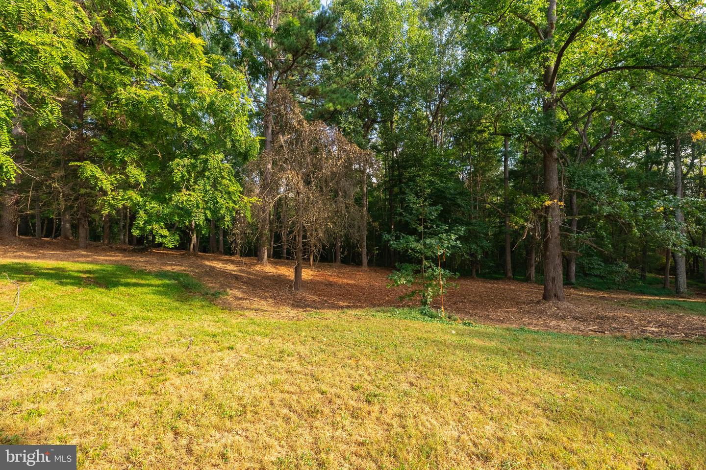 16306 PLEASANT MILL ROAD, MONTPELIER, Virginia 23192, ,Land,For sale,16306 PLEASANT MILL ROAD,VAHA2001114 MLS # VAHA2001114