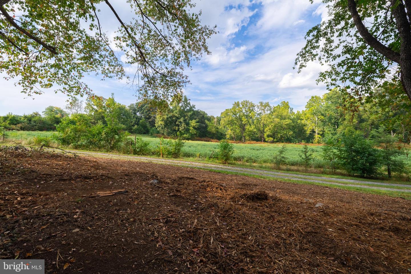 16306 PLEASANT MILL ROAD, MONTPELIER, Virginia 23192, ,Land,For sale,16306 PLEASANT MILL ROAD,VAHA2001114 MLS # VAHA2001114