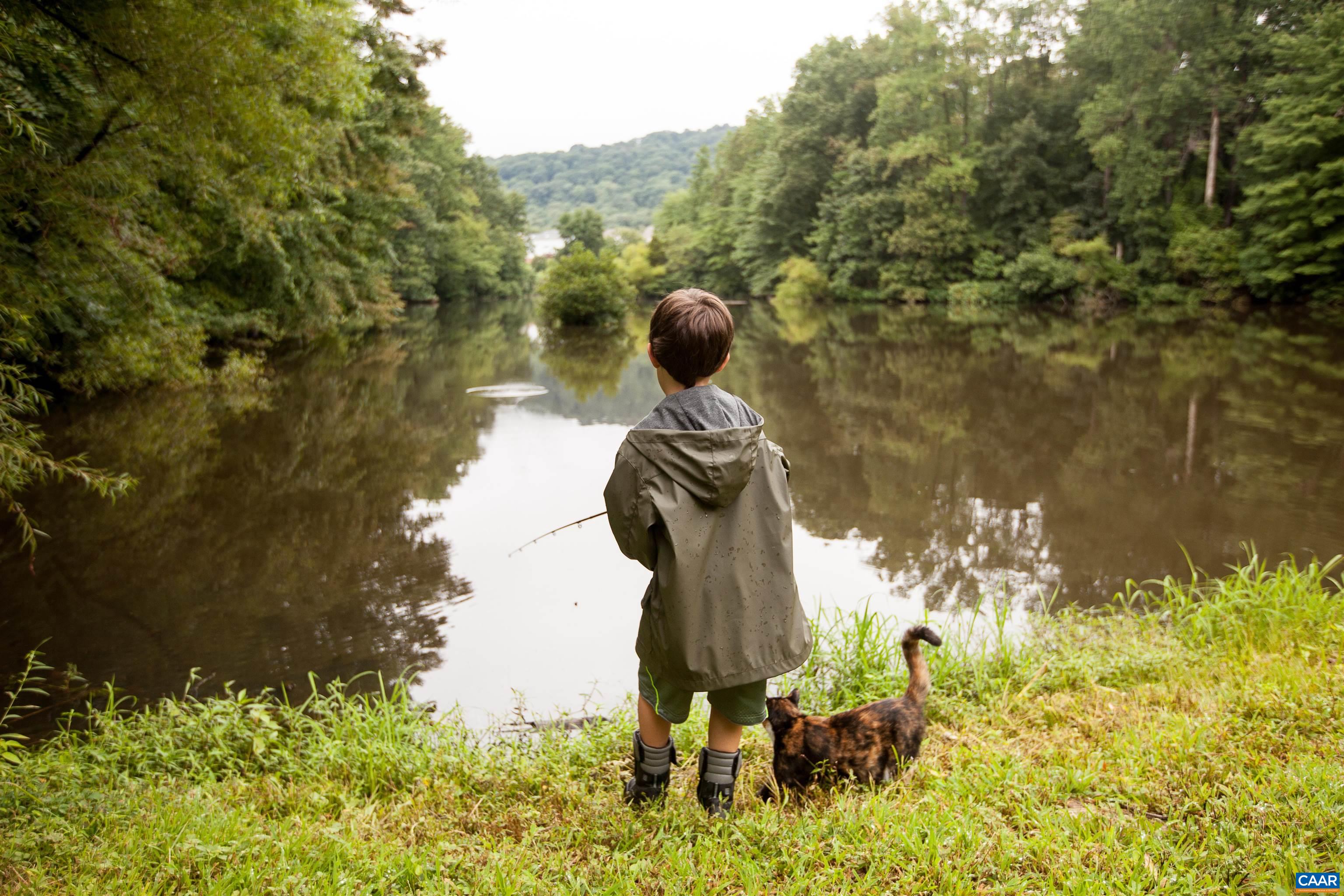16F ODOM CT, CHARLOTTESVILLE, Virginia 22901, 3 Bedrooms Bedrooms, ,3 BathroomsBathrooms,Residential,The Azalea,16F ODOM CT,671884 MLS # 671884