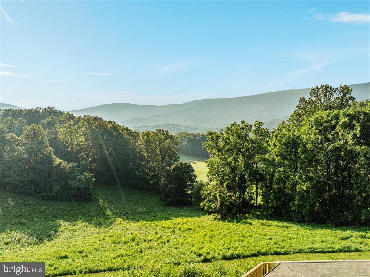 472 WESLEY LN, BENTONVILLE, Virginia 22610, 3 Bedrooms Bedrooms, ,3 BathroomsBathrooms,Residential,For sale,472 WESLEY LN,VAWR2012744 MLS # VAWR2012744