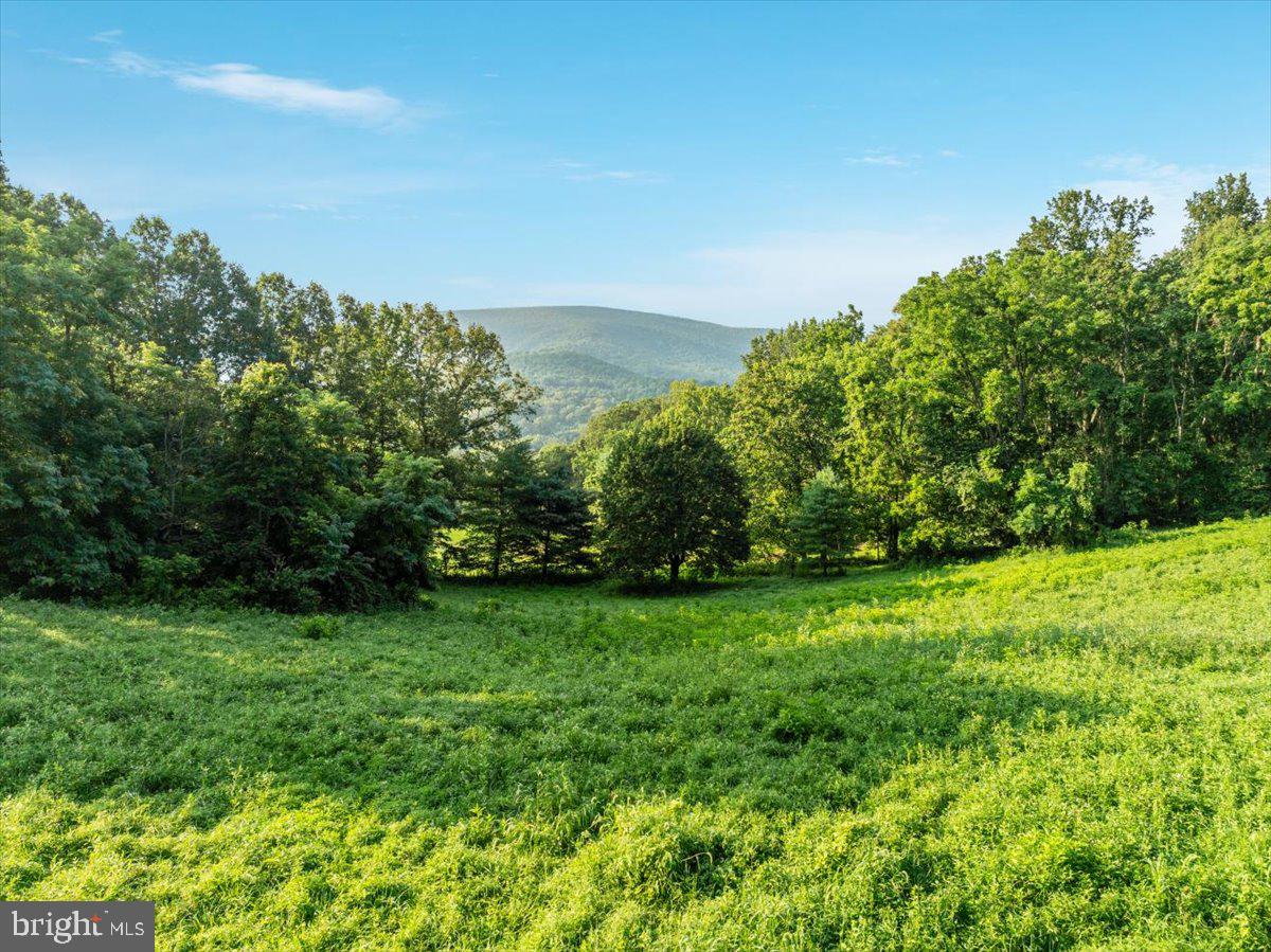 472 WESLEY LN, BENTONVILLE, Virginia 22610, 3 Bedrooms Bedrooms, ,3 BathroomsBathrooms,Residential,For sale,472 WESLEY LN,VAWR2012744 MLS # VAWR2012744