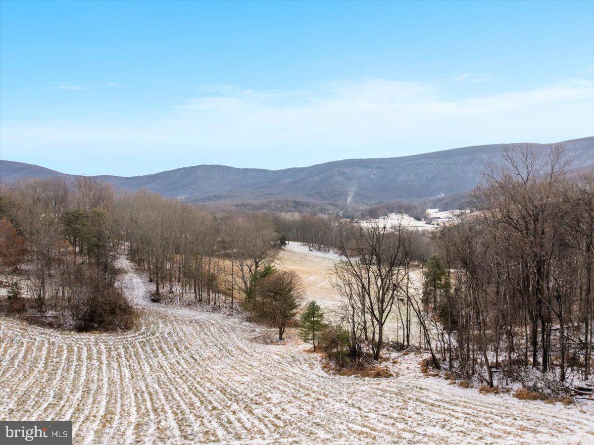 472 WESLEY LN, BENTONVILLE, Virginia 22610, 3 Bedrooms Bedrooms, ,3 BathroomsBathrooms,Residential,For sale,472 WESLEY LN,VAWR2012744 MLS # VAWR2012744