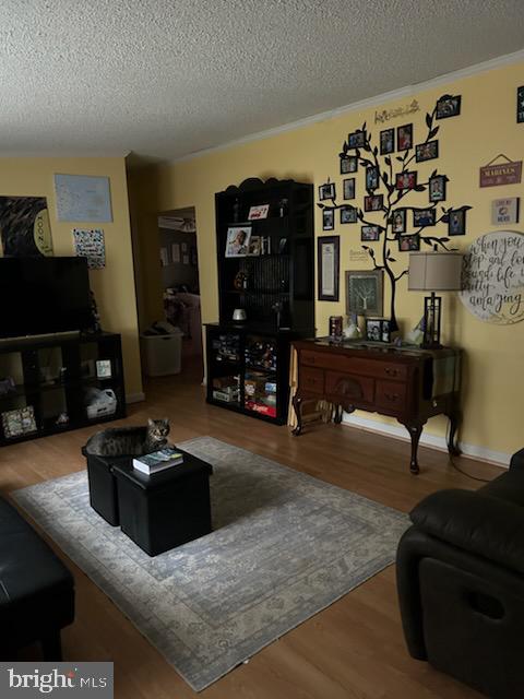 3300 DANBURY CIR, SPOTSYLVANIA, Virginia 22551, 4 Bedrooms Bedrooms, ,3 BathroomsBathrooms,Residential,For sale,3300 DANBURY CIR,VASP2038066 MLS # VASP2038066