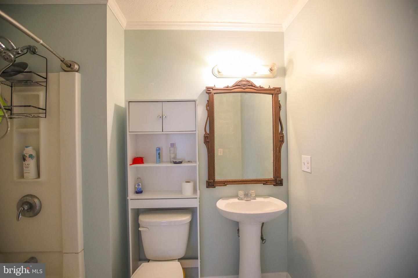 10 WHITING AVE, BOYCE, Virginia 22620, 3 Bedrooms Bedrooms, ,3 BathroomsBathrooms,Residential,For sale,10 WHITING AVE,VACL2006272 MLS # VACL2006272 10 WHITING AVE, BOYCE, Virginia 22620, 3 Bedrooms Bedrooms, ,3 BathroomsBathrooms,Residential,For sale,10 WHITING AVE,VACL2006272 MLS # VACL2006272