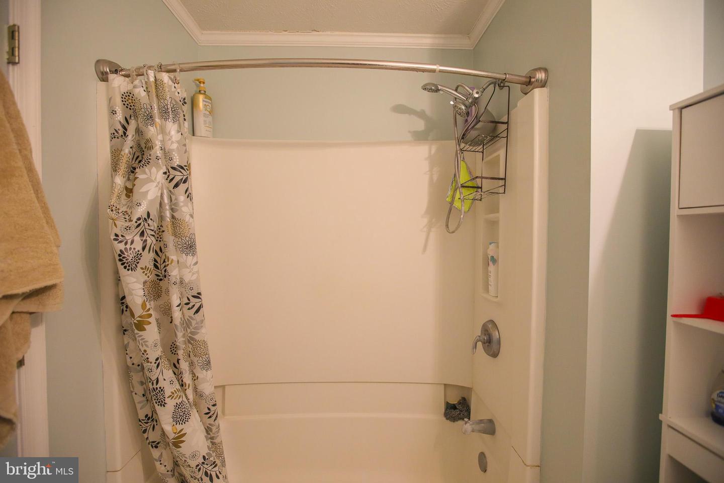 10 WHITING AVE, BOYCE, Virginia 22620, 3 Bedrooms Bedrooms, ,3 BathroomsBathrooms,Residential,For sale,10 WHITING AVE,VACL2006272 MLS # VACL2006272 10 WHITING AVE, BOYCE, Virginia 22620, 3 Bedrooms Bedrooms, ,3 BathroomsBathrooms,Residential,For sale,10 WHITING AVE,VACL2006272 MLS # VACL2006272