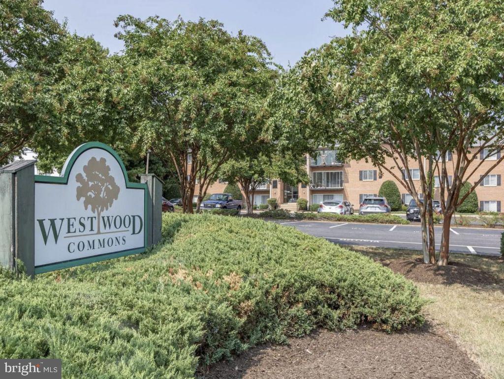 1805-C WILLIAM #211, FREDERICKSBURG, Virginia 22401, 2 Bedrooms Bedrooms, ,1 BathroomBathrooms,Residential,For sale,1805-C WILLIAM #211,VAFB2009410 MLS # VAFB2009410 1805-C WILLIAM #211, FREDERICKSBURG, Virginia 22401, 2 Bedrooms Bedrooms, ,1 BathroomBathrooms,Residential,For sale,1805-C WILLIAM #211,VAFB2009410 MLS # VAFB2009410