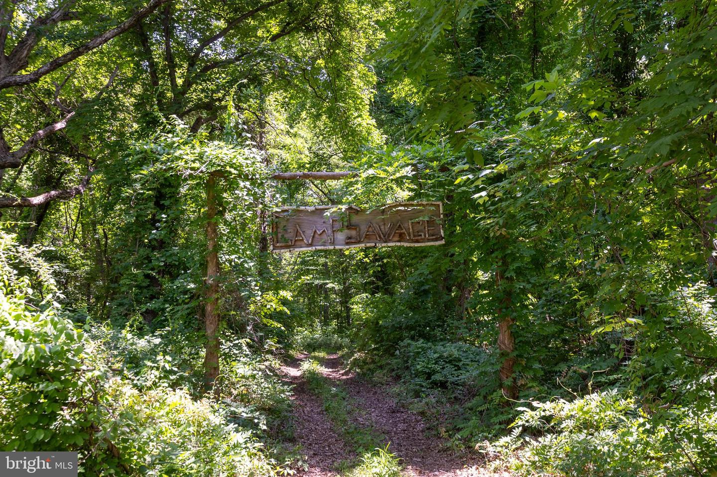 4320 BROWNTOWN RD, FRONT ROYAL, Virginia 22630, 4 Bedrooms Bedrooms, ,2 BathroomsBathrooms,Residential,For sale,4320 BROWNTOWN RD,VAWR2012966 MLS # VAWR2012966 4320 BROWNTOWN RD, FRONT ROYAL, Virginia 22630, 4 Bedrooms Bedrooms, ,2 BathroomsBathrooms,Residential,For sale,4320 BROWNTOWN RD,VAWR2012966 MLS # VAWR2012966