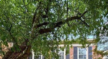 2847 SEMINOLE RD, WOODBRIDGE, Virginia 22192, 3 Bedrooms Bedrooms, ,2 BathroomsBathrooms,Residential,For sale,2847 SEMINOLE RD,VAPW2098506 MLS # VAPW2098506