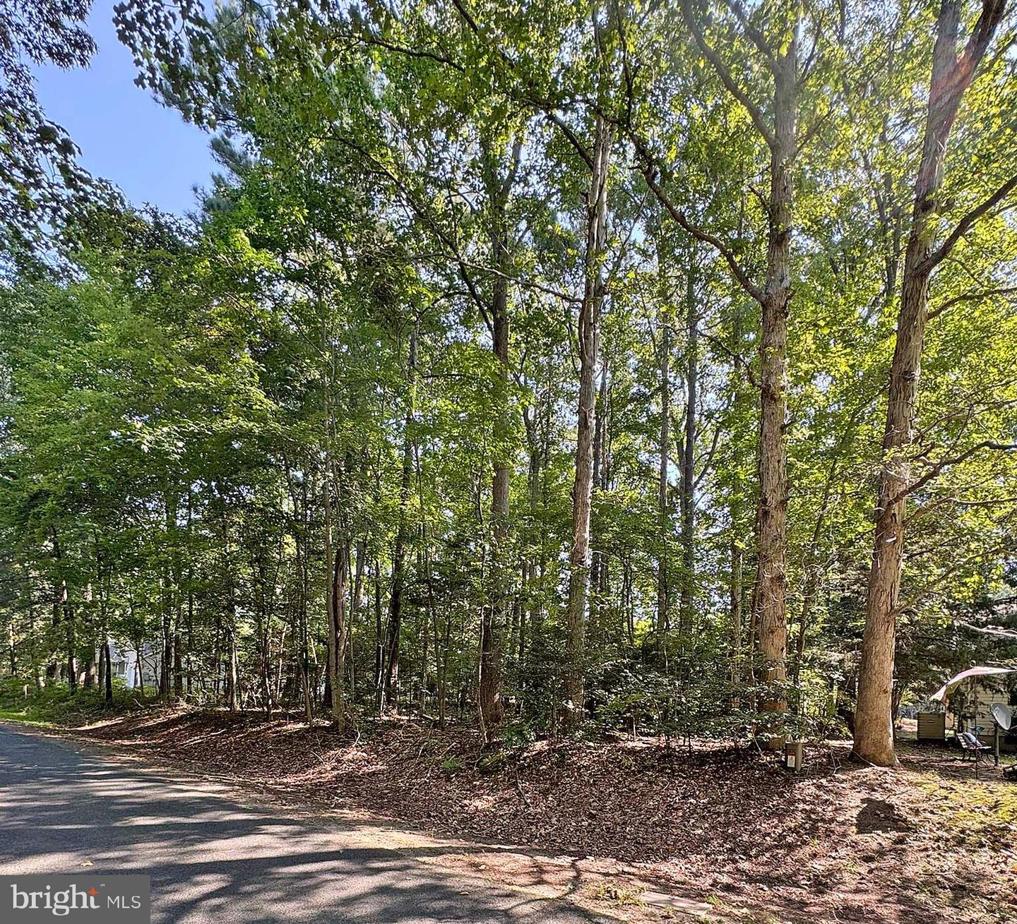 LOT 1996 MAYFLOWER DR, GREENBACKVILLE, Virginia 23356, ,Land,For sale,LOT 1996 MAYFLOWER DR,VAAC2002256 MLS # VAAC2002256 LOT 1996 MAYFLOWER DR, GREENBACKVILLE, Virginia 23356, ,Land,For sale,LOT 1996 MAYFLOWER DR,VAAC2002256 MLS # VAAC2002256