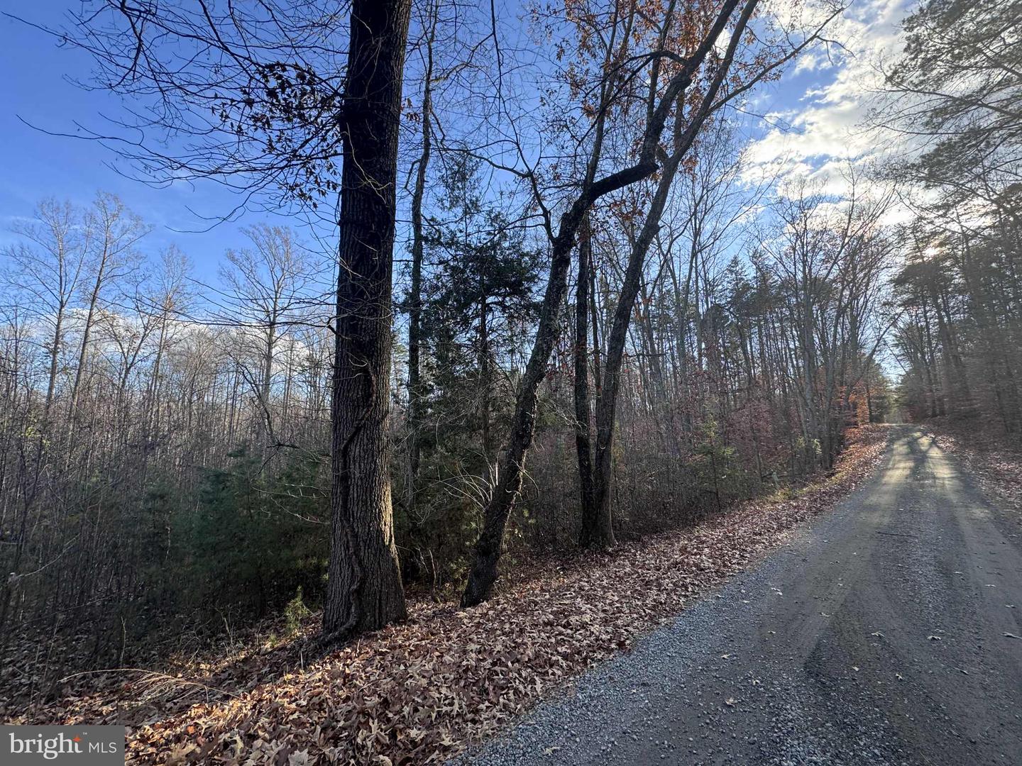 0 BUGGY LN, ROCHELLE, Virginia 22738, ,Land,For sale,0 BUGGY LN,VAMA2002548 MLS # VAMA2002548