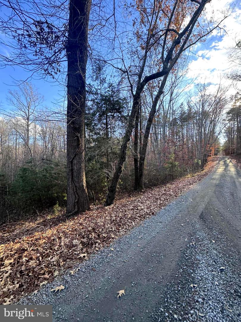 0 BUGGY LN, ROCHELLE, Virginia 22738, ,Land,For sale,0 BUGGY LN,VAMA2002548 MLS # VAMA2002548 0 BUGGY LN, ROCHELLE, Virginia 22738, ,Land,For sale,0 BUGGY LN,VAMA2002548 MLS # VAMA2002548
