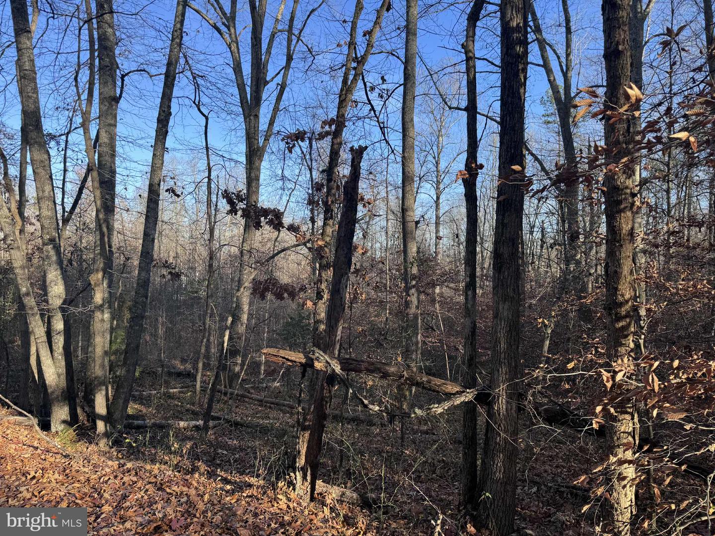 0 BUGGY LN, ROCHELLE, Virginia 22738, ,Land,For sale,0 BUGGY LN,VAMA2002548 MLS # VAMA2002548 0 BUGGY LN, ROCHELLE, Virginia 22738, ,Land,For sale,0 BUGGY LN,VAMA2002548 MLS # VAMA2002548