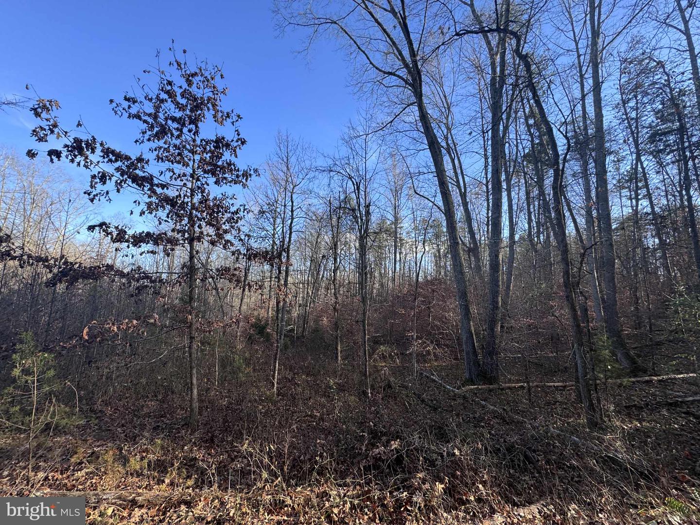 0 BUGGY LN, ROCHELLE, Virginia 22738, ,Land,For sale,0 BUGGY LN,VAMA2002548 MLS # VAMA2002548 0 BUGGY LN, ROCHELLE, Virginia 22738, ,Land,For sale,0 BUGGY LN,VAMA2002548 MLS # VAMA2002548