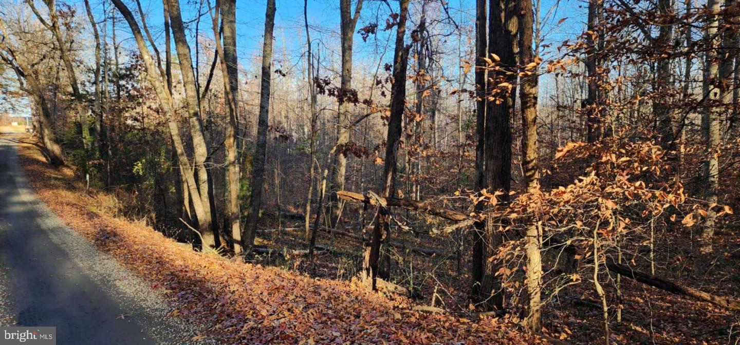 0 BUGGY LN, ROCHELLE, Virginia 22738, ,Land,For sale,0 BUGGY LN,VAMA2002548 MLS # VAMA2002548 0 BUGGY LN, ROCHELLE, Virginia 22738, ,Land,For sale,0 BUGGY LN,VAMA2002548 MLS # VAMA2002548
