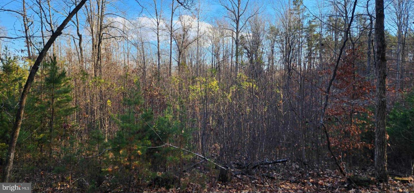 0 BUGGY LN, ROCHELLE, Virginia 22738, ,Land,For sale,0 BUGGY LN,VAMA2002548 MLS # VAMA2002548 0 BUGGY LN, ROCHELLE, Virginia 22738, ,Land,For sale,0 BUGGY LN,VAMA2002548 MLS # VAMA2002548