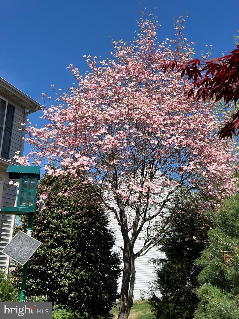 64 WALNUT FARMS PKWY, FREDERICKSBURG, Virginia 22405, 4 Bedrooms Bedrooms, ,2 BathroomsBathrooms,Residential,For sale,64 WALNUT FARMS PKWY,VAST2044472 MLS # VAST2044472 64 WALNUT FARMS PKWY, FREDERICKSBURG, Virginia 22405, 4 Bedrooms Bedrooms, ,2 BathroomsBathrooms,Residential,For sale,64 WALNUT FARMS PKWY,VAST2044472 MLS # VAST2044472